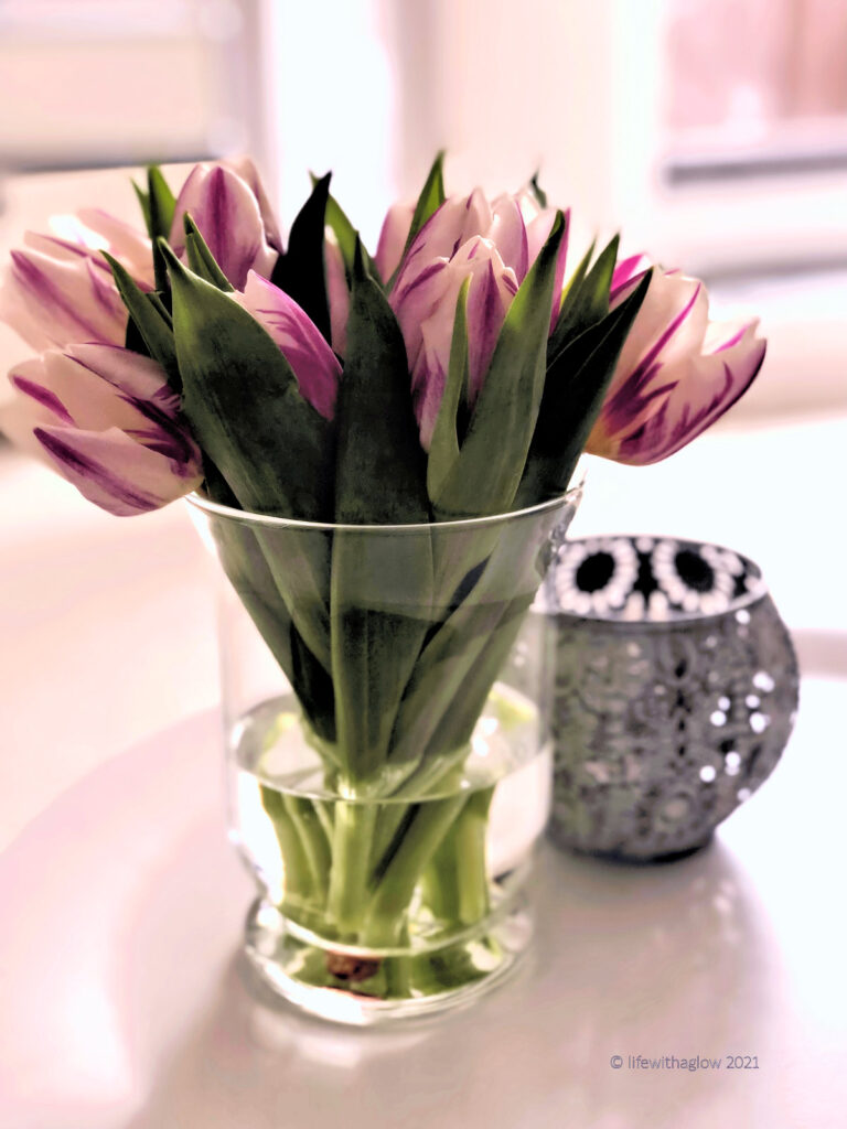 Die ersten Tulpen rufen nicht nur Momente des Glücks wach, sie rufen auch Hallo Frühling Momente des Glücks-Tulpen