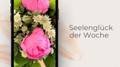 Seelenglück der Woche 20