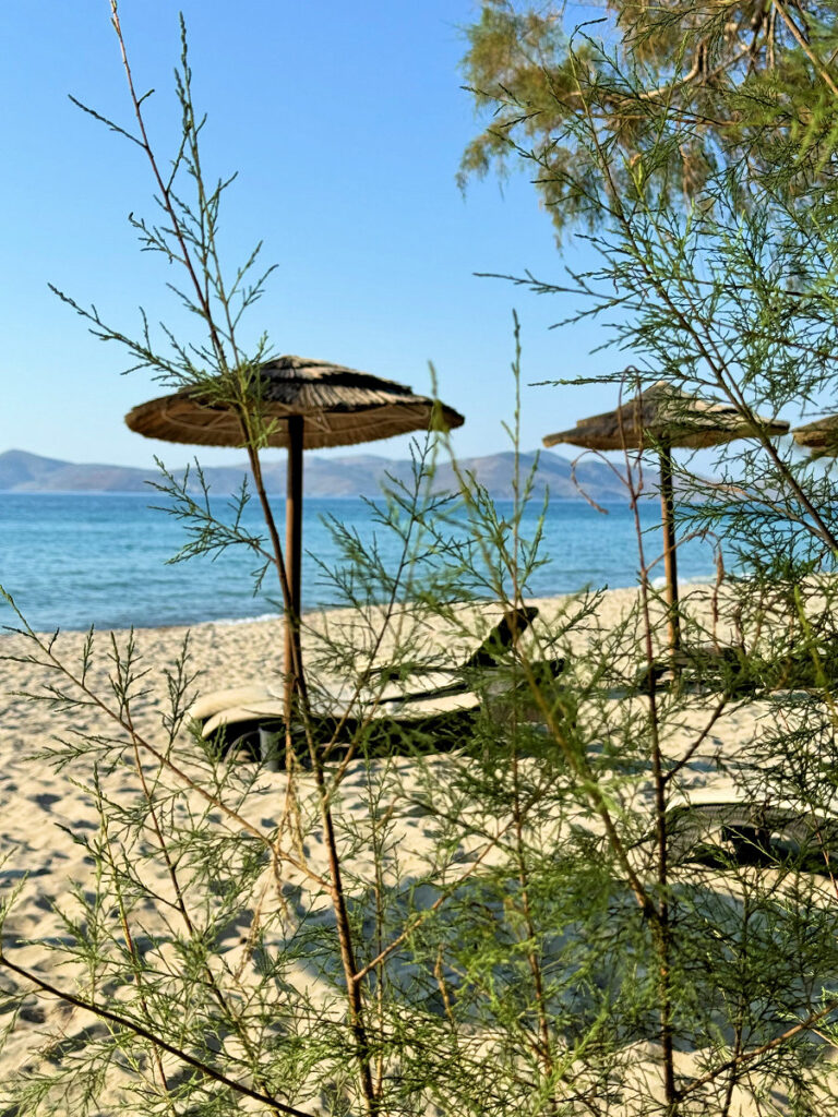 Eine zauberhafte Insel: Kos Eine zauberhafte Insel: Kos