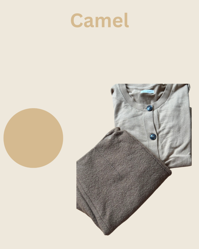 Trendfarben im Herbst 2024 Trendfarben im Herbst 2024 Camel