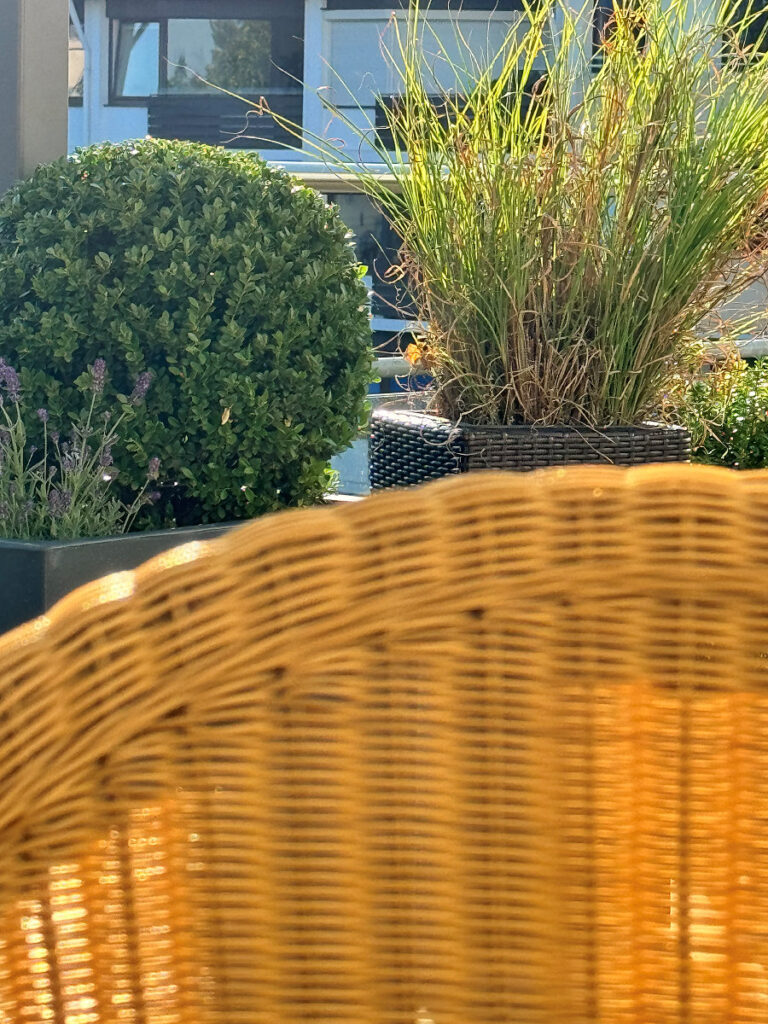 Seelenglück #36/2024