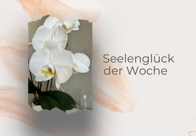 Seelenglück #37 in 2024