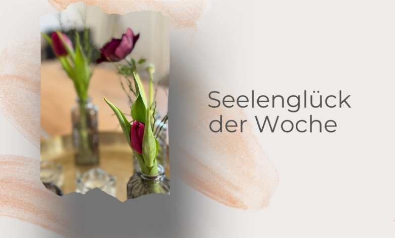 Seelenglück 13/25- von Borsten