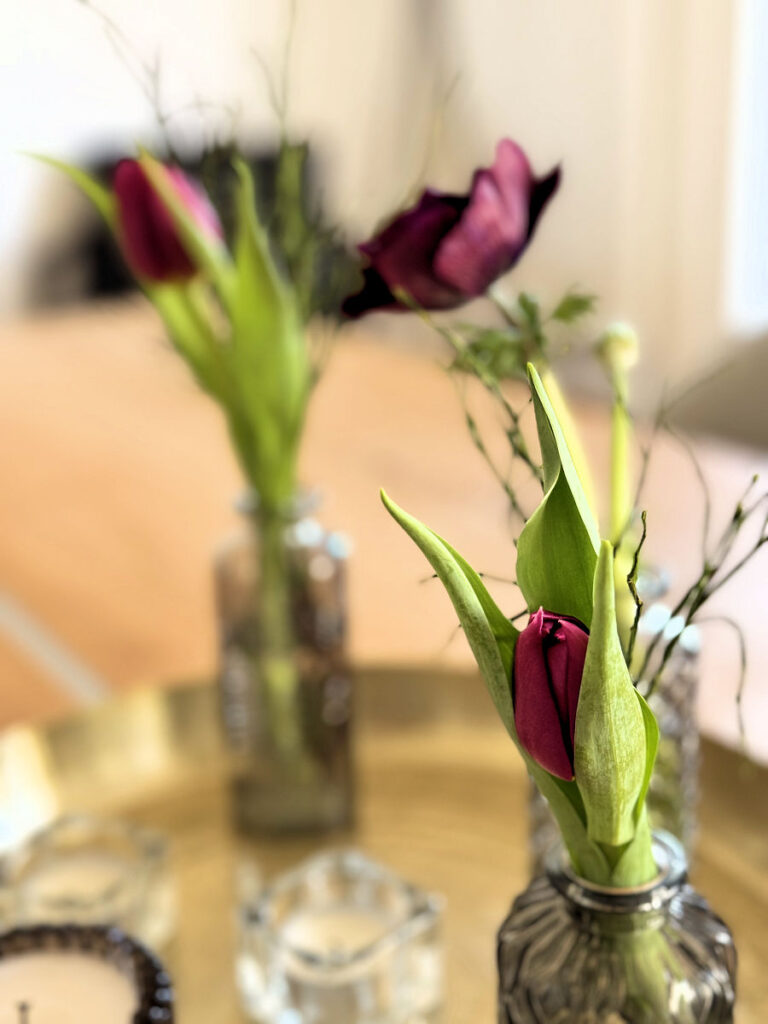 Seelenglück 12/25-lifewithaglow-Tulpen in kleinen Vasen Seelenglück 12/25-lifewithaglow-Tulpen in kleinen Vasen