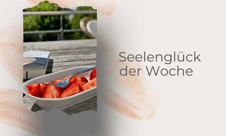 Seelenglück 18/25 S wie Sommer