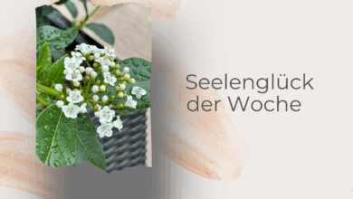 Seelenglück 29/25-nass und lecker-lifewithaglow