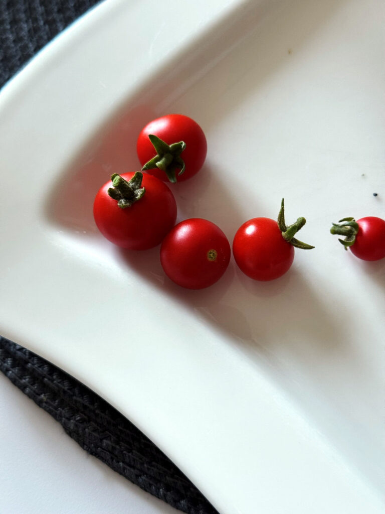 Seelenglück 37/25-von Buns bis Beeren-lifewithaglow- Tomaten