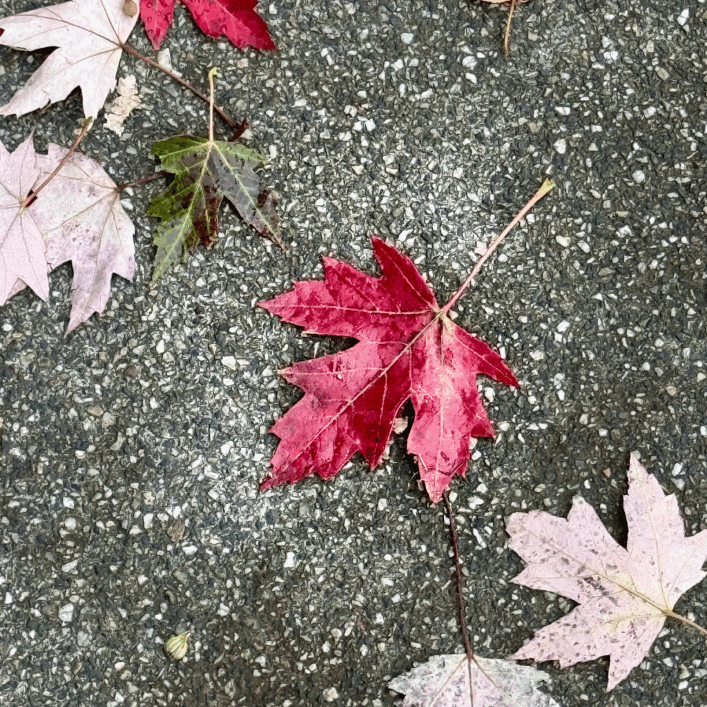 Seelenglück 38/25-lifewithaglow