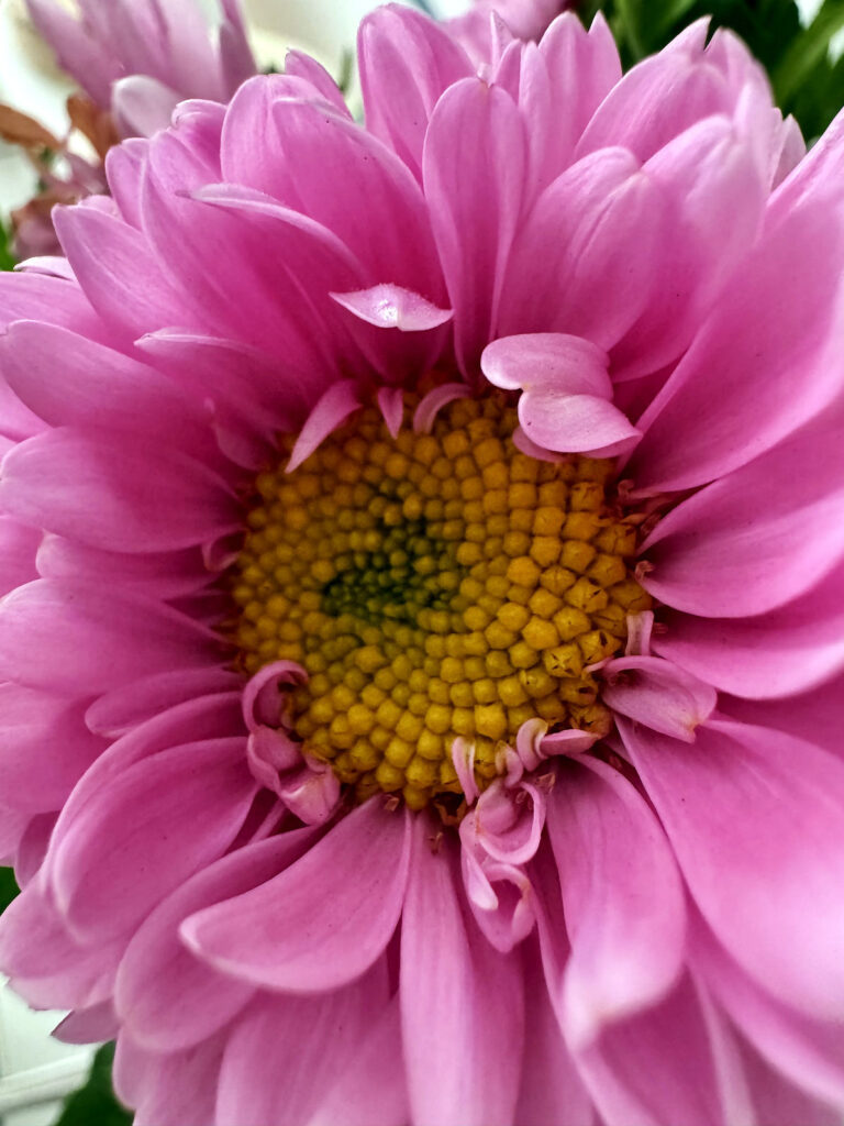 Die Suche nach dem Glück-lifewithaglow-Gedanken