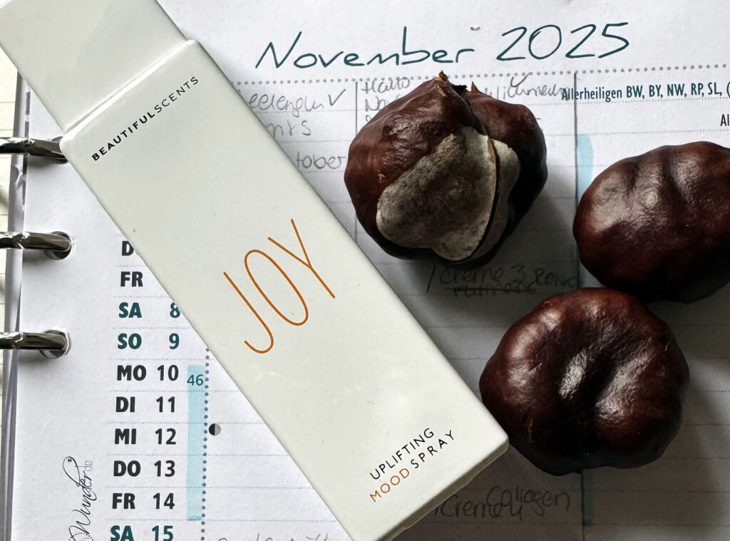 Bye November-Monatsrückblick-lifewithaglow