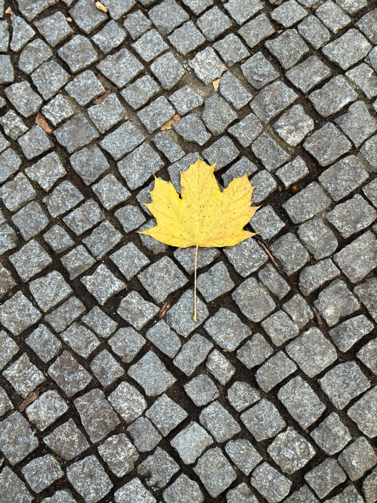 Seelenglück 45/25-Tanz und Wonne-lifewithaglow