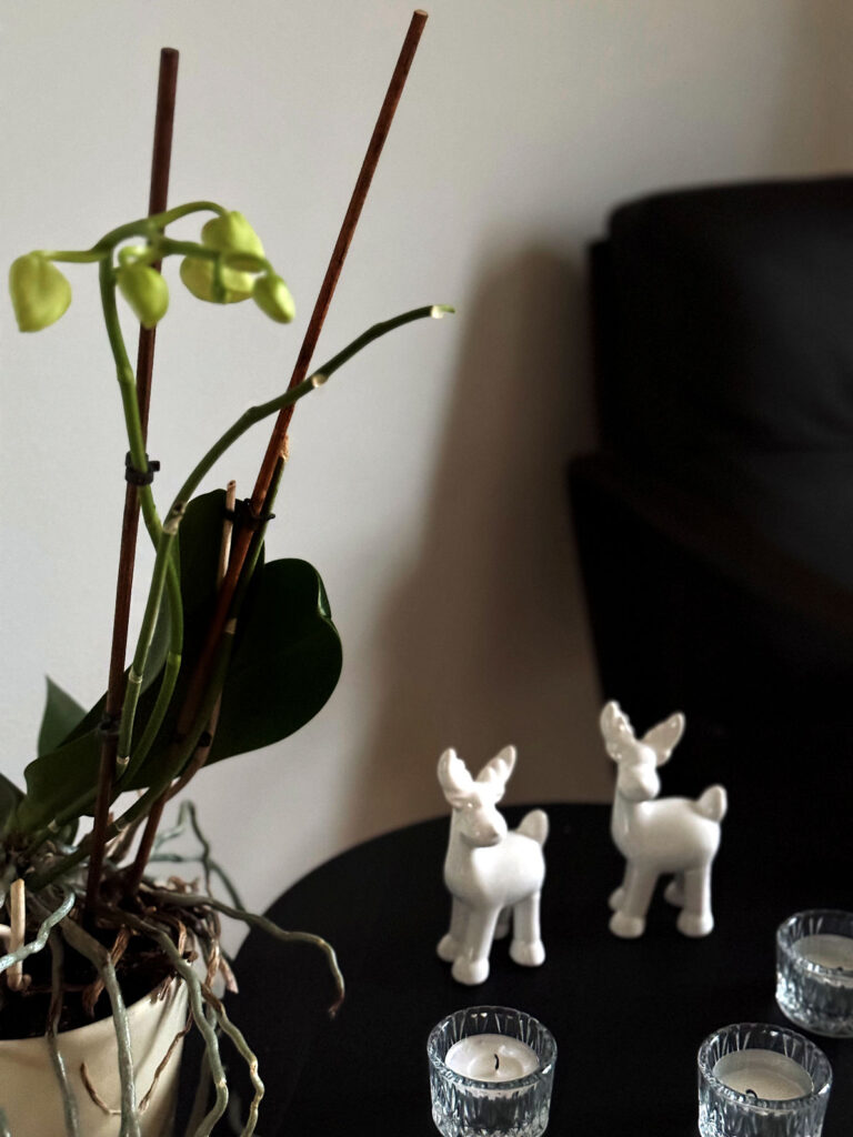 10 Fakten über mich-lifewithaglow