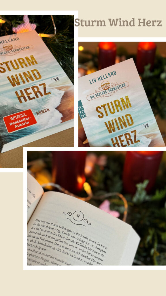 Die Schloss-Schwestern-Sturm Wind Herz-lifewithaglow