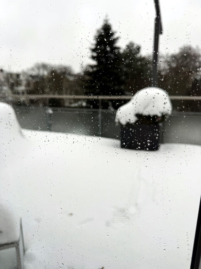 12 von 12 im Januar 26-lifewithaglow