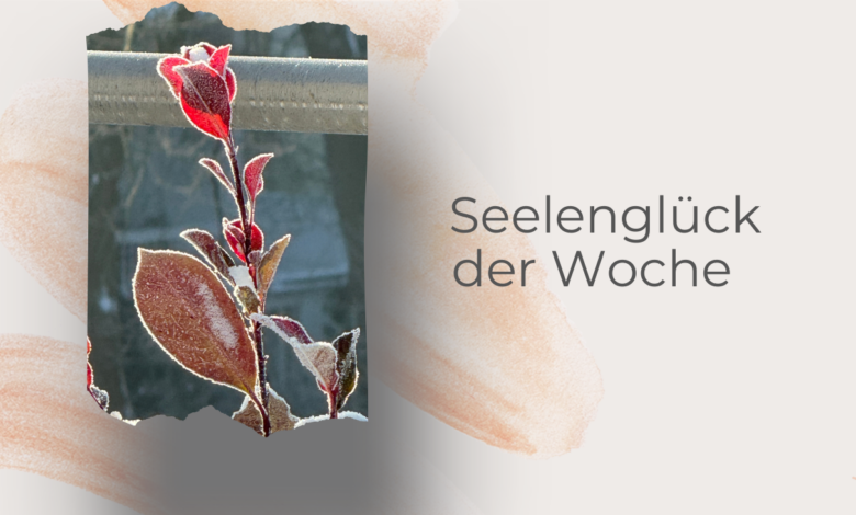 Seelenglück 3. Wo 26-lifewithaglow