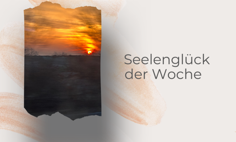 Seelenglück 5. Woche 26-lifewithaglow