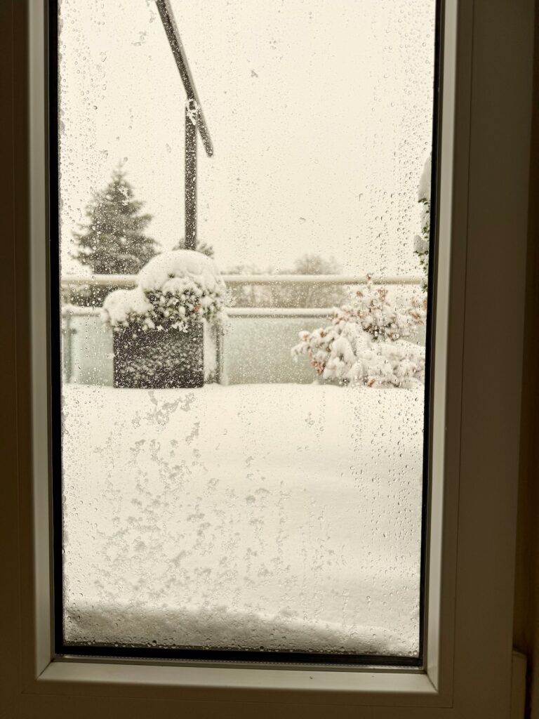 Monatsrückblick Januar 26-lifewithaglow Monatsrückblick Januar 26-lifewithaglow