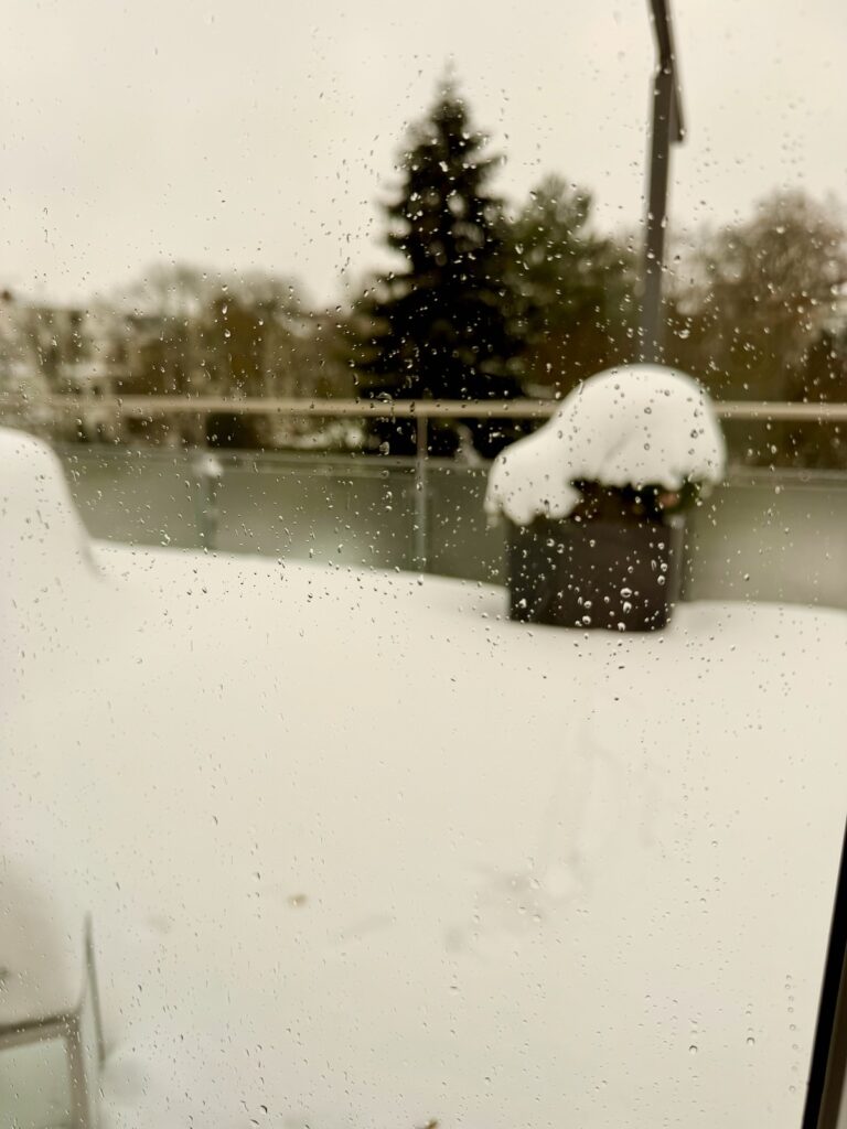 Monatsrückblick Januar 26-lifewithaglow Monatsrückblick Januar 26-lifewithaglow