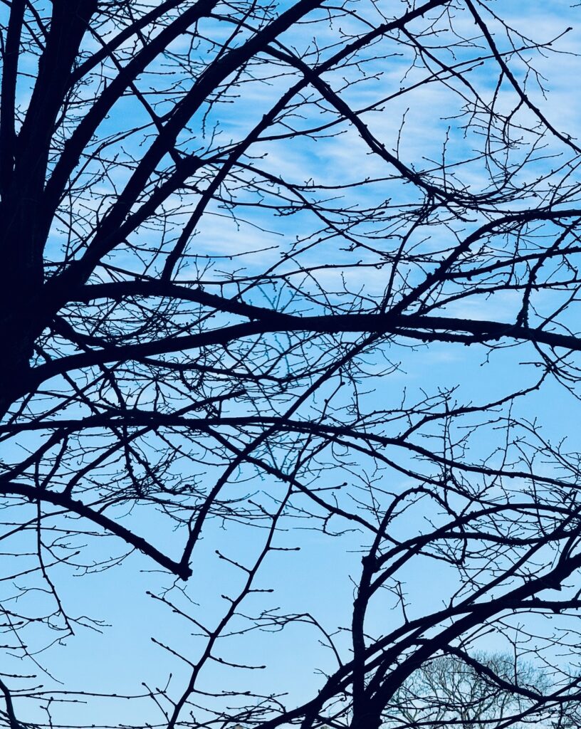 Seelenglück 9/26-lifewithaglow-die kleinen Momente