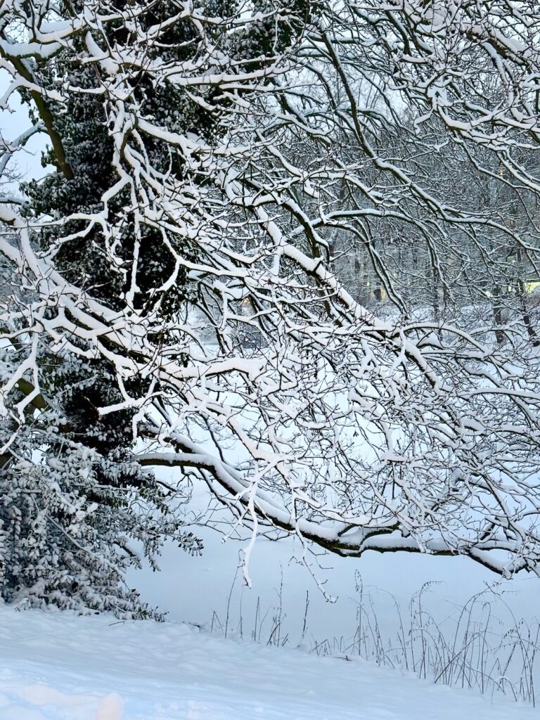 Seelenglück 8/26_Reisen und Liebe-lifewithaglow