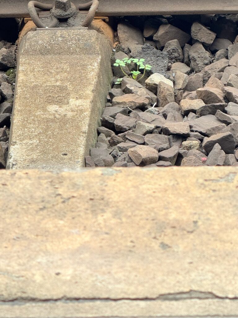 Seelenglück 13. Wo 26-lifewithaglow Seelenglück 13. Wo 26-lifewithaglow