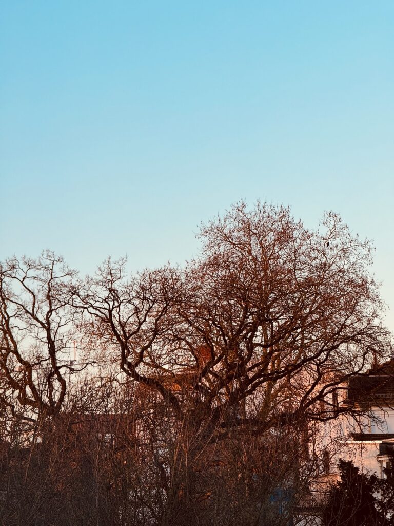 Seelenglück 12/26-in Orange-lifewithaglow Seelenglück 12/26-in Orange-lifewithaglow