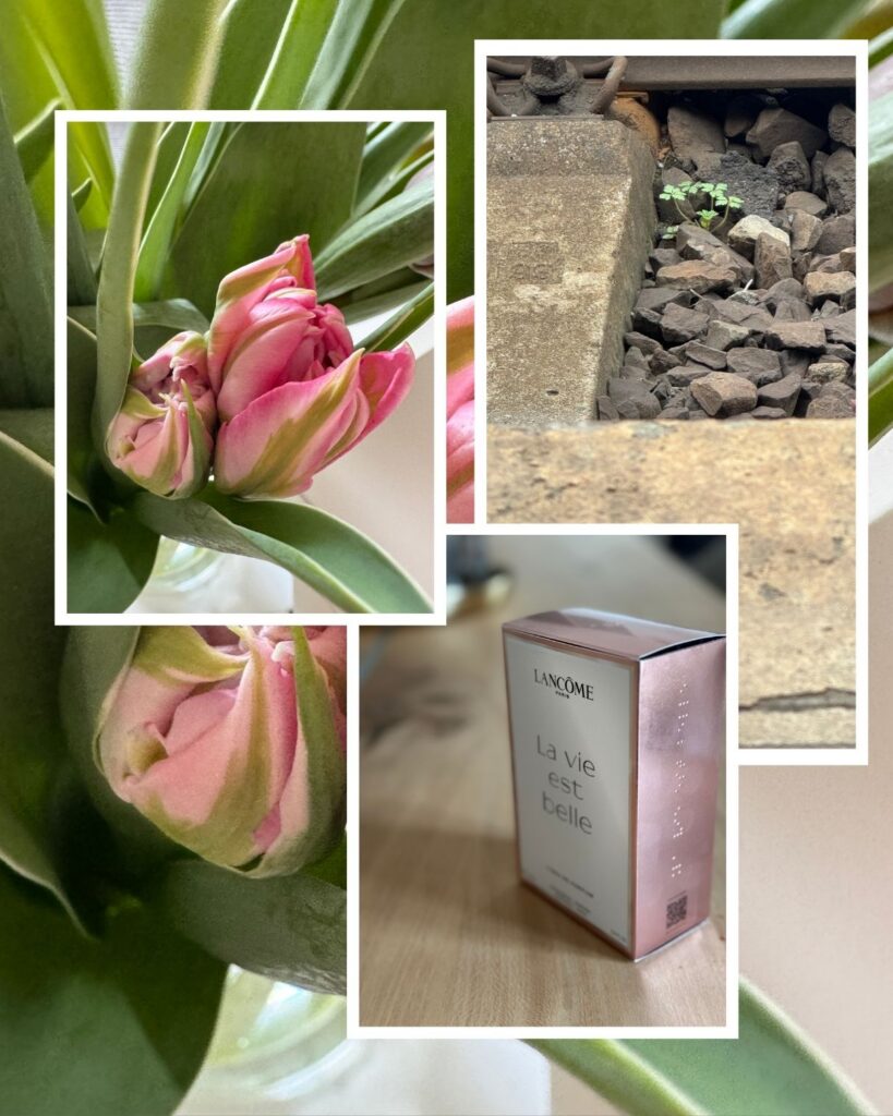 Glow statt Alltagsgrau_Warum Hoffnung eine Entscheidung ist-lifewithaglow Glow statt Alltagsgrau_Warum Hoffnung eine Entscheidung ist-lifewithaglow