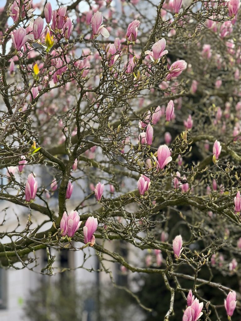 Seelenglück 14/26-immer da-lifewithaglow Seelenglück 14/26-immer da-lifewithaglow