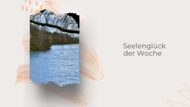 Seelenglück 15/26-österlich bis sommerliche Freuden-lifewithaglow