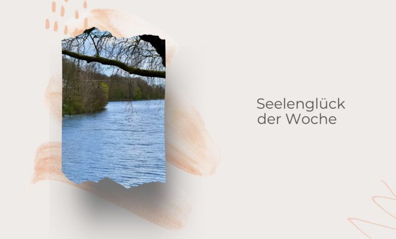 Seelenglück 15/26-österlich bis sommerliche Freuden-lifewithaglow