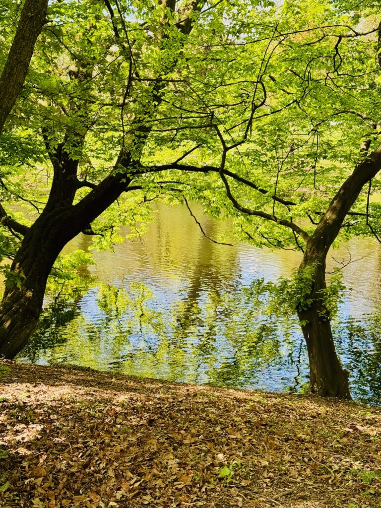 Seelenglück 18/26-savoir vivre und grün weiß-lifewithaglow