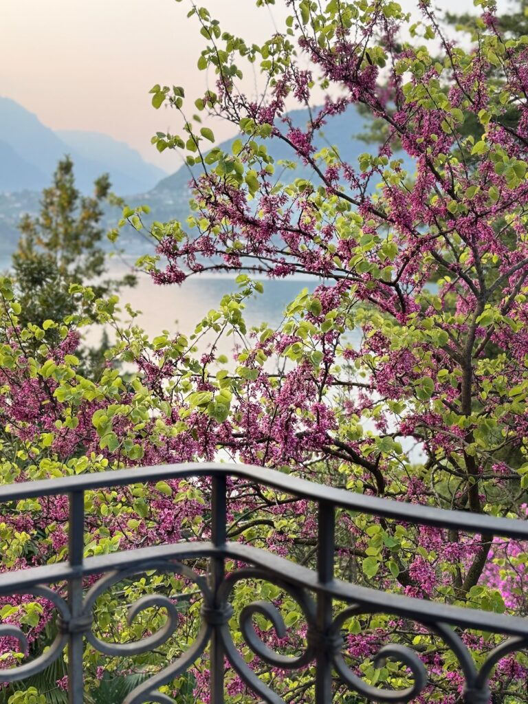 Seelenglück-Bremen und La Dolce Vita-lifewithaglow-Lake Como-Comer See