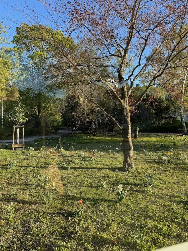 Seelenglück-Bremen und La Dolce Vita-lifewithaglow-Umsteigen-BVG-die Frühlingswiese