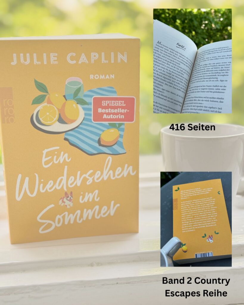 Ein Wiedersehen im Sommer-Wilsgrave-Julie Caplin-lifewithaglow