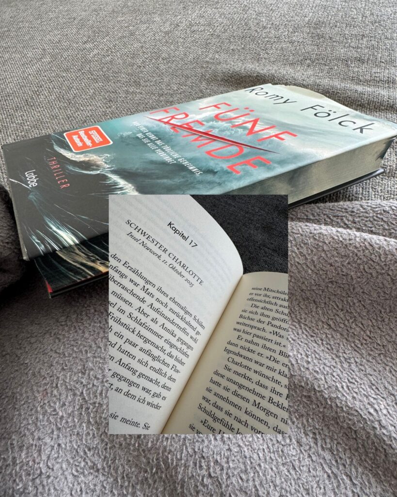 Fünf Fremde-Neuwerk-Thriller-Romy Fölck-lifewithaglow