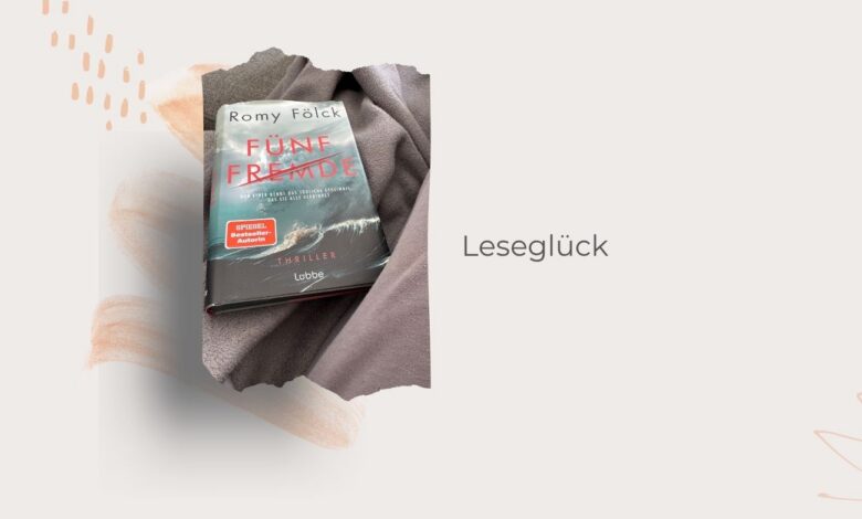 Fünf Fremde-Neuwerk-Thriller-Romy Fölck-lifewithaglow