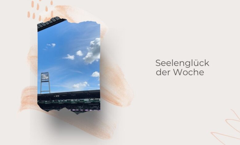 Seelenglück 21. Woche 2026-klein, aber fein und Musik-lifewithaglow
