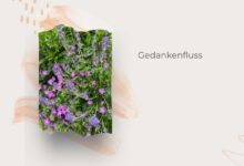 Mehr Glow statt Alltagsgrau-Sommeralltag-lifewithaglow
