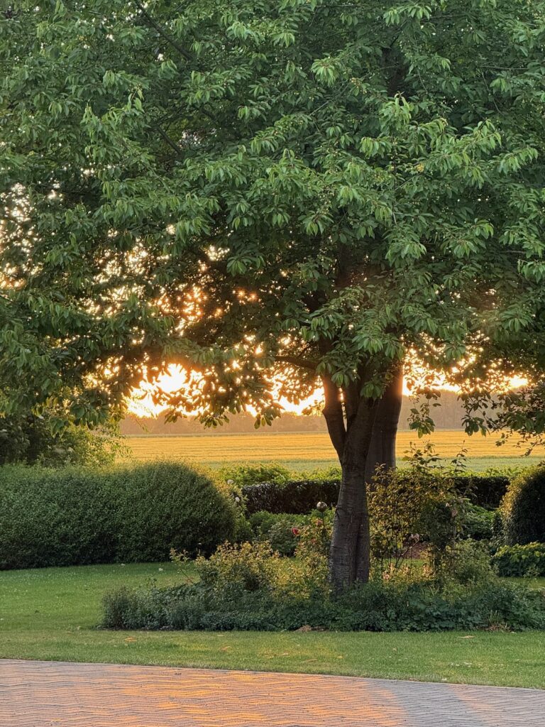 Seelenglück 24/26-null Sommer-lifewithaglow