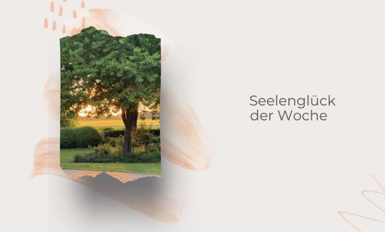Seelenglück 24/26-null Sommer-lifewithaglow