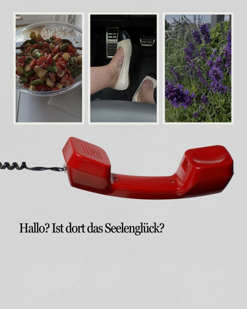 Seelenglück 25. Woche 2026-am Ende mit Sommer-lifewithaglow