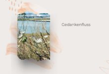 Mehr Glow statt Alltagsgrau-7 Gedanken für den Alltag-lifewithaglow