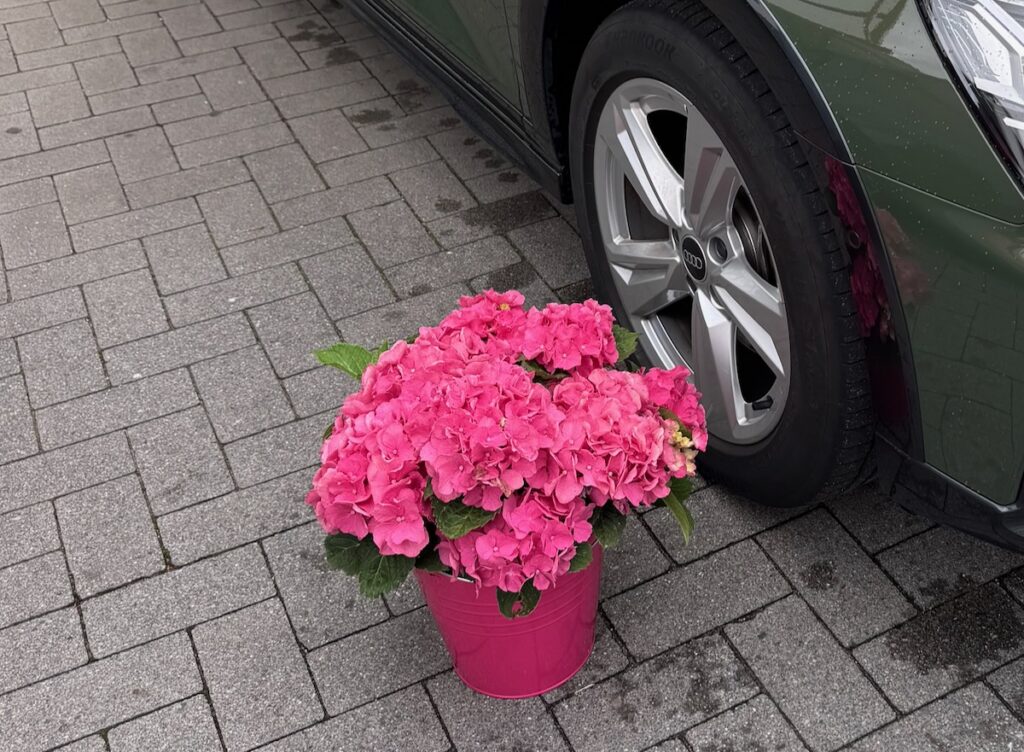 Seelenglück-ein perfekter Sommer-lifewithaglow Seelenglück-ein perfekter Sommer-lifewithaglow