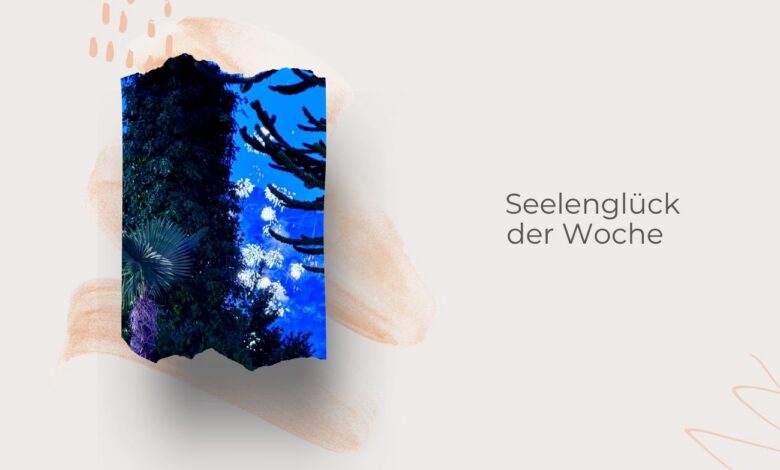 Seelenglück 28. Woche 2026-sommerlich, reisend, köstlich-lifewithaglow