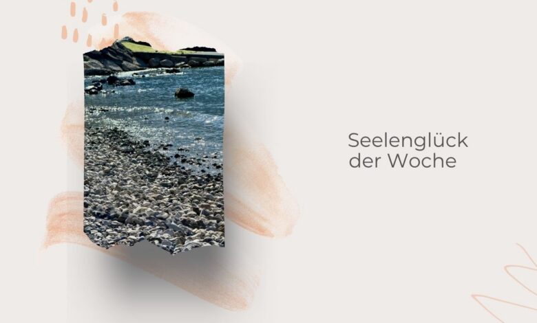 Seelenglück-kleine Glücksmomente im Alltag-zwischen Sommer und Herbst-lifewithaglow