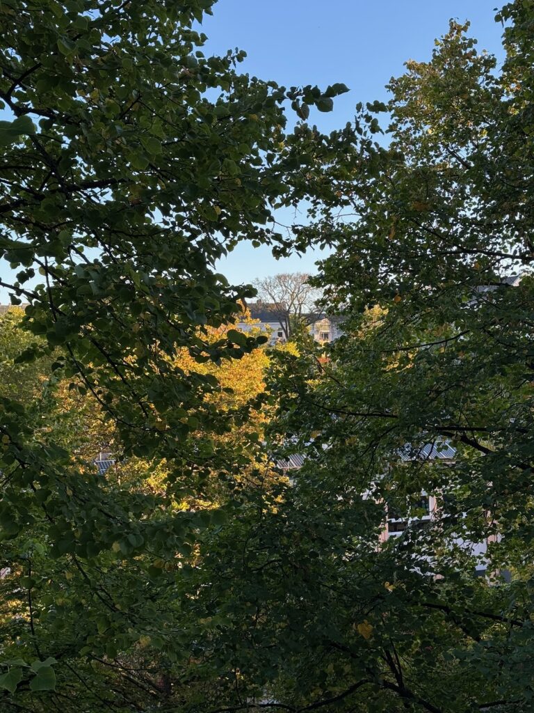 Seelenglück-kleine Glücksmomente im Alltag-zwischen Sommer und Herbst-lifewithaglow Seelenglück-kleine Glücksmomente im Alltag-zwischen Sommer und Herbst-lifewithaglow
