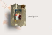 Die Regenschwimmerin-Romy Fölck-Rezension-lifewithaglow