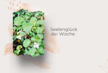 Seelenglück-Strohwitwe und trotzdem happy-lifewithaglow