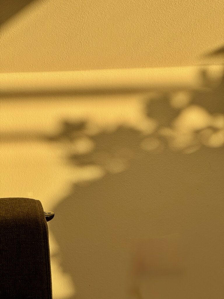 Seelenglück-Sommer, Herbst und ein Schneeball-lifewithaglow Seelenglück-Sommer, Herbst und ein Schneeball-lifewithaglow