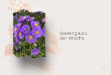 Seelenglück-Sommer, Herbst und ein Schneeball-lifewithaglow